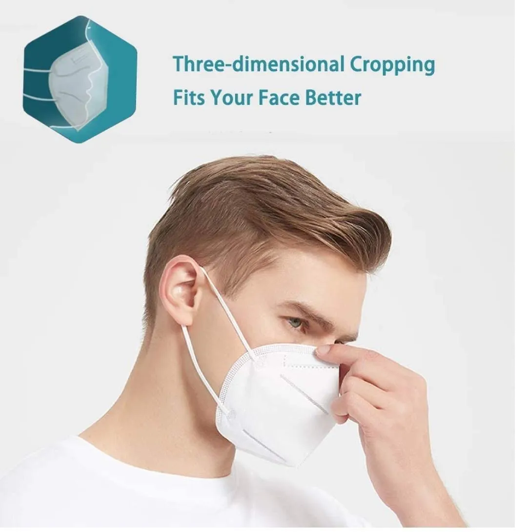 0258  Anti Pollution / Virus Face Mask