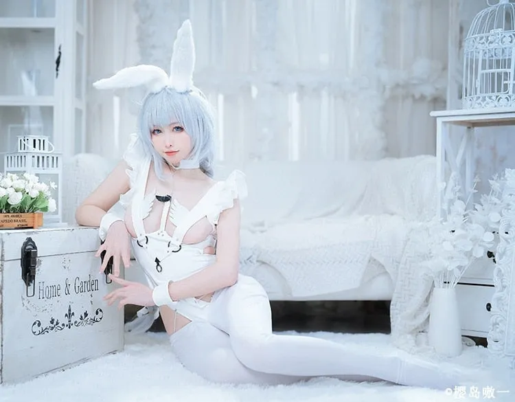 Angel Bunny Bodysuit Cosplay Set