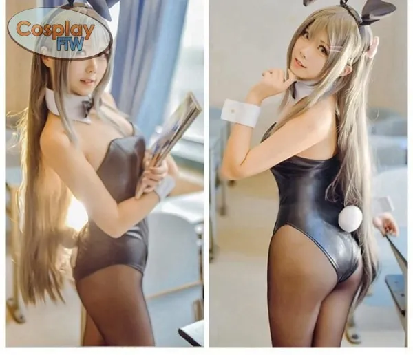 Anime Rascal Does Not Dream Of Bunny Girl Senpai Mai Sakurajima Cosplay Costume / Seishun Buta Yarou wa Bunny Girl Senpai no Yume wo Minai