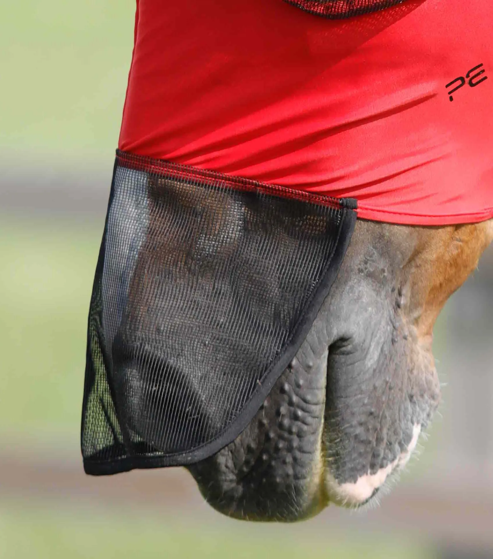 Comfort Tech Lycra Fly Mask Xtra Red