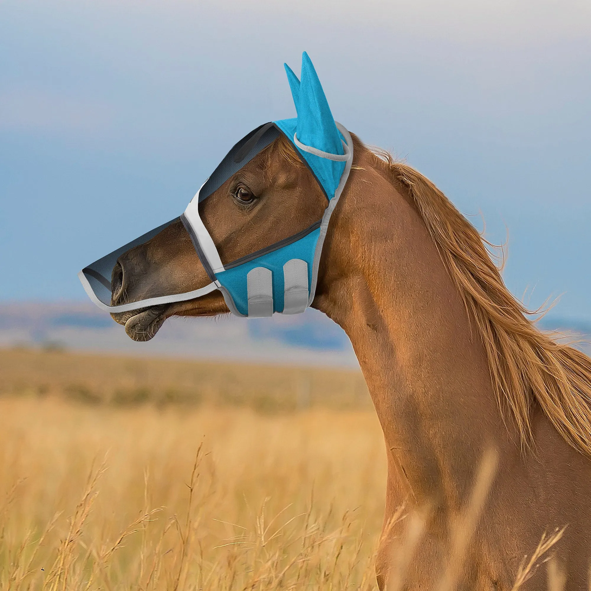 Horse Equine Fly Mask with Long Nose, Ear Protection, Mesh