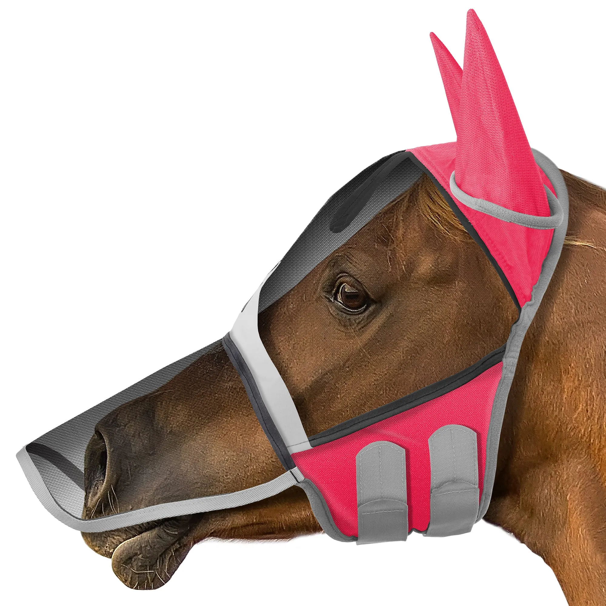 Horse Equine Fly Mask with Long Nose, Ear Protection, Mesh