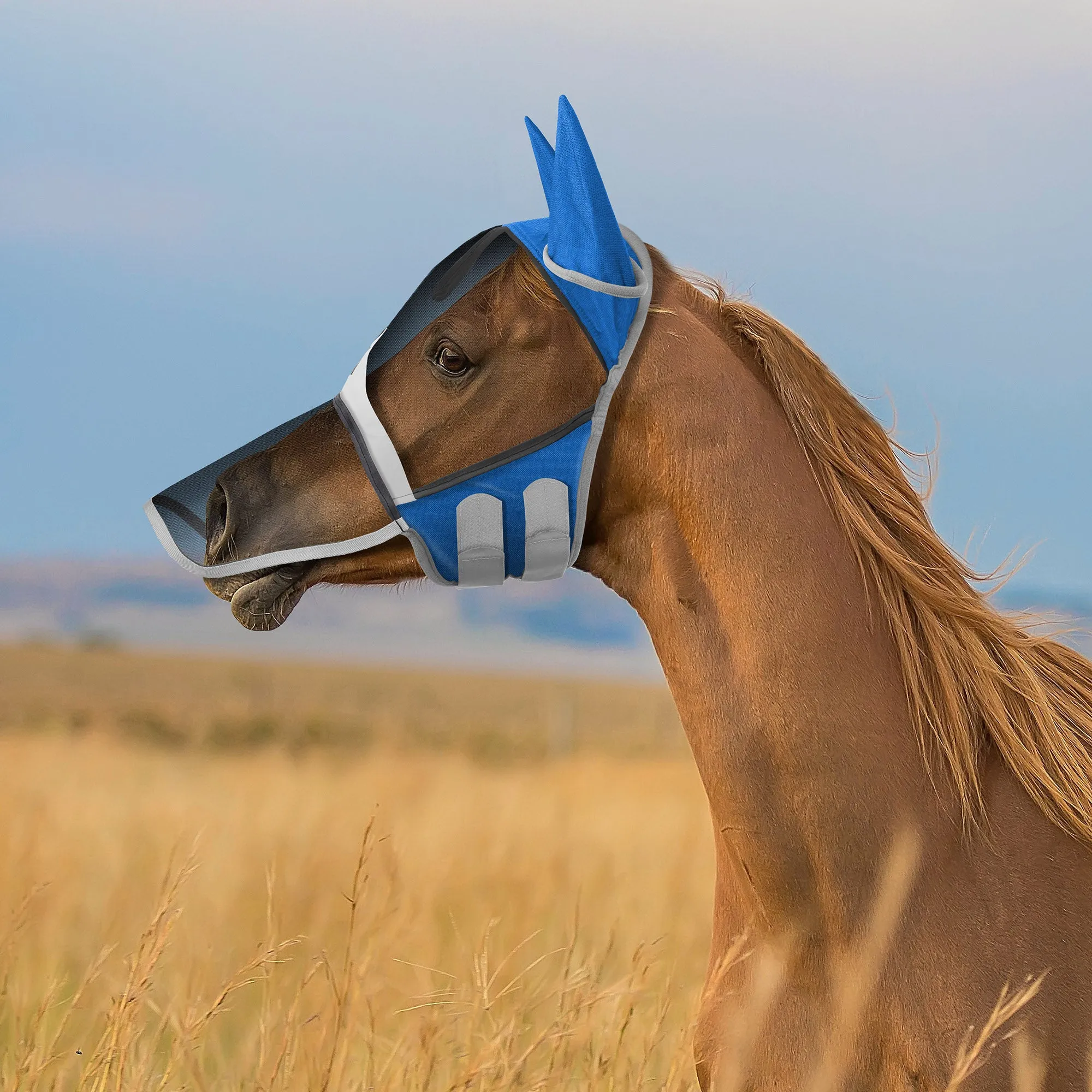 Horse Equine Fly Mask with Long Nose, Ear Protection, Mesh