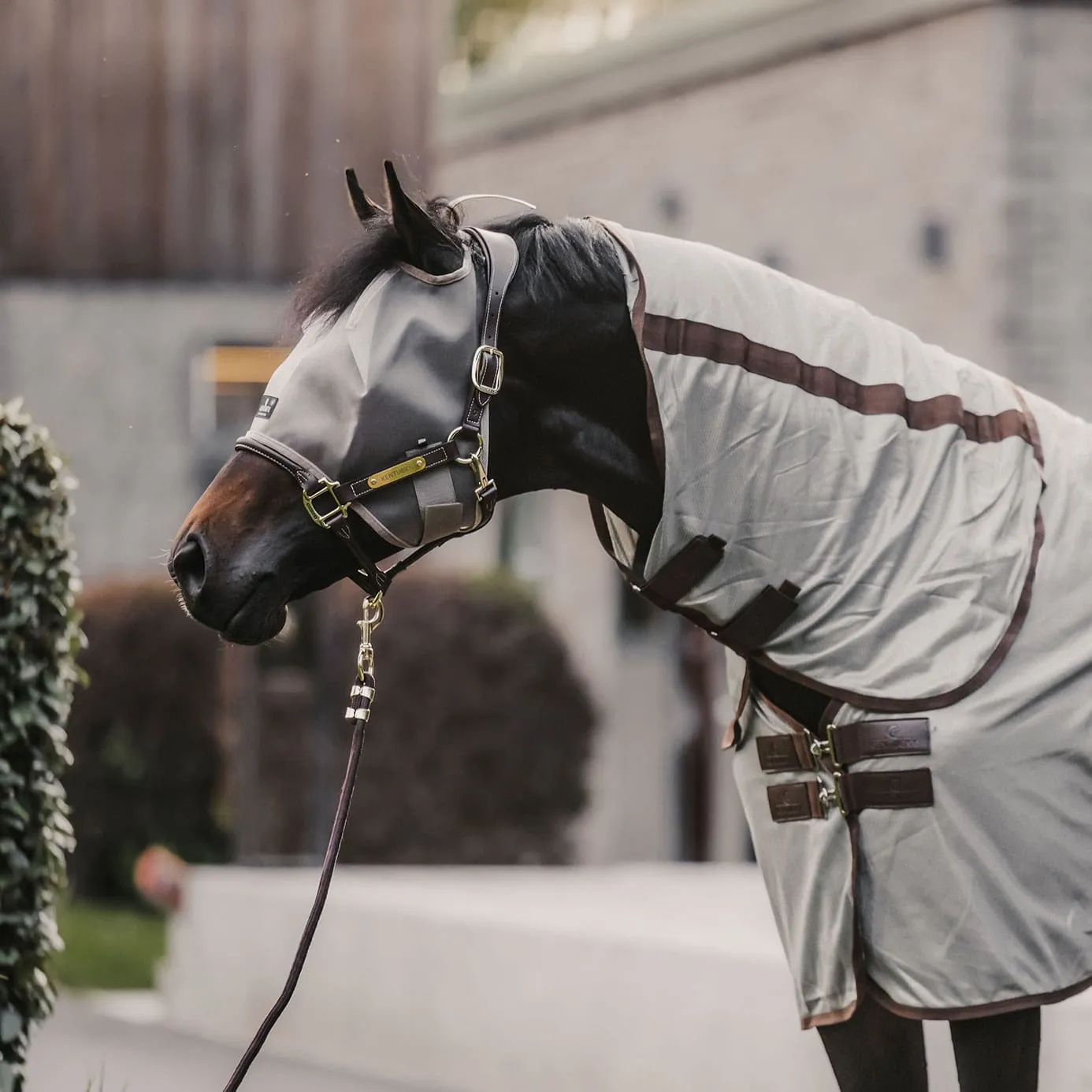 Kentucky Horsewear Fly Mask Classic - Beige