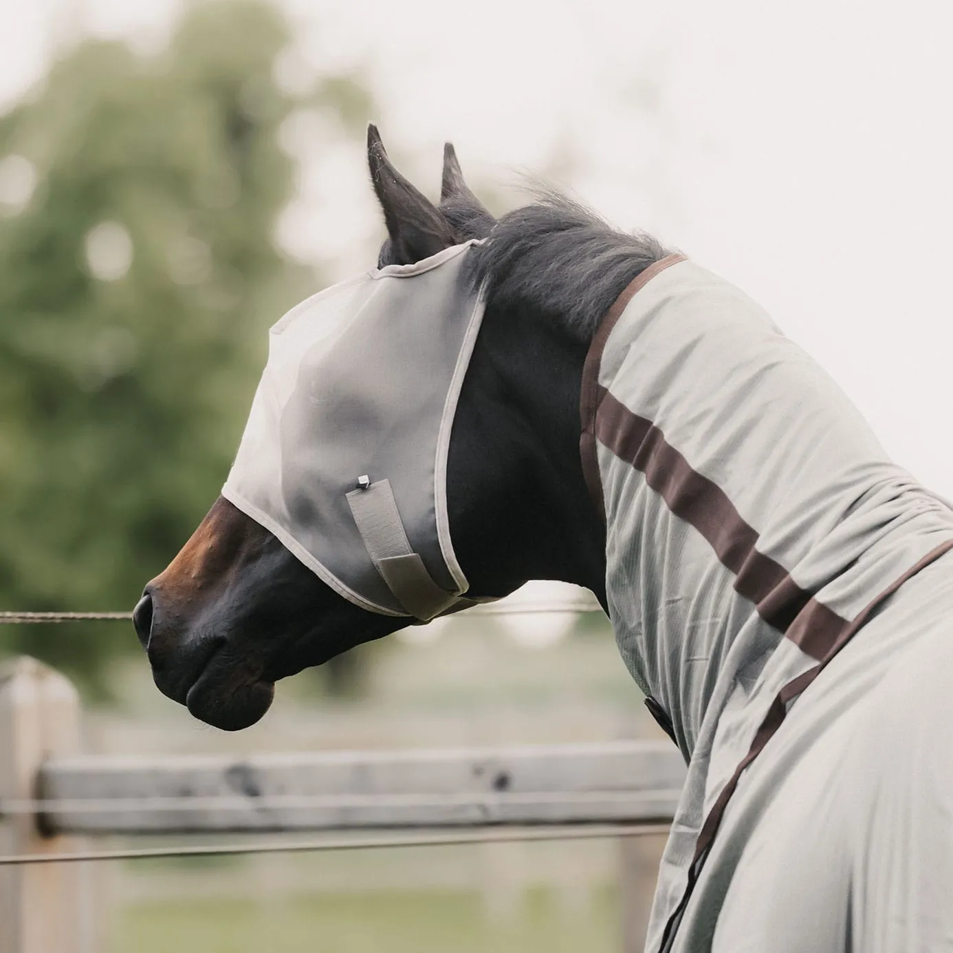 Kentucky Horsewear Fly Mask Classic - Beige